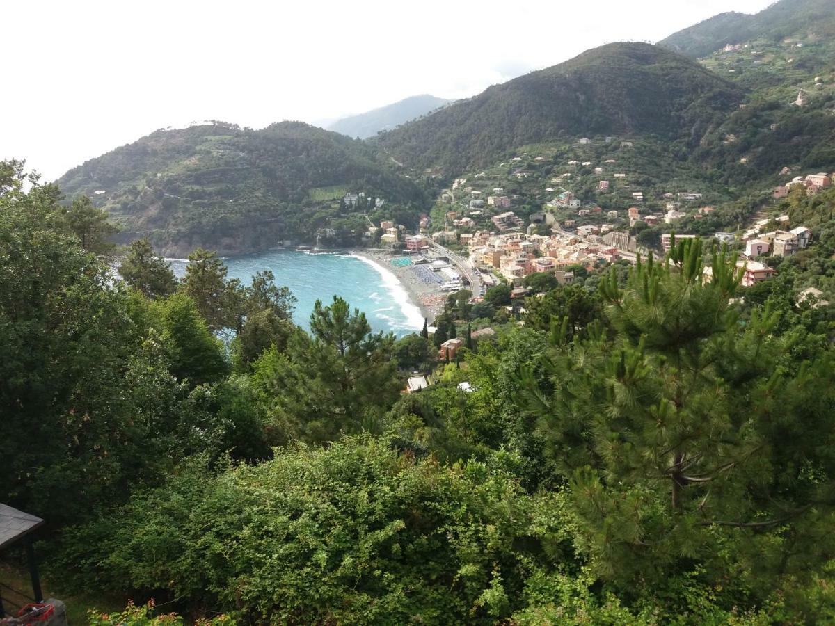 Casa Cinzia Bonassola Cinque Terre Διαμέρισμα Εξωτερικό φωτογραφία