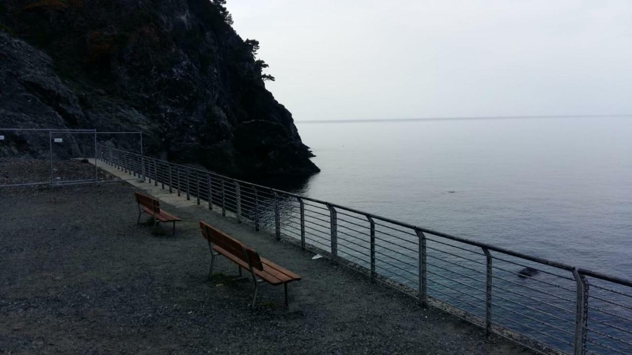 Casa Cinzia Bonassola Cinque Terre Διαμέρισμα Εξωτερικό φωτογραφία